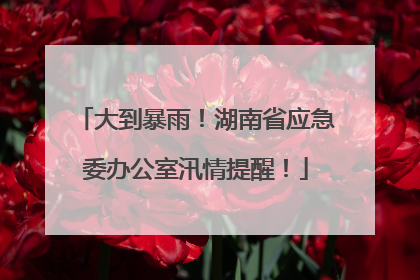 大到暴雨！湖南省应急委办公室汛情提醒！