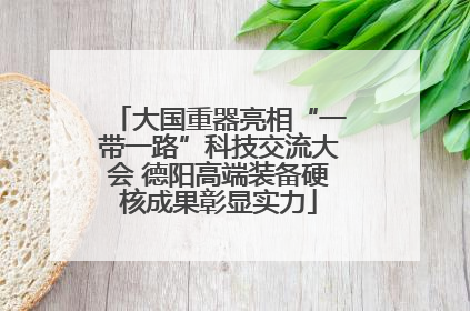 大国重器亮相“一带一路”科技交流大会 德阳高端装备硬核成果彰显实力