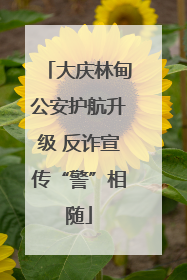 大庆林甸公安护航升级 反诈宣传“警”相随