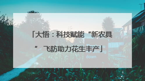 大悟：科技赋能“新农具” 飞防助力花生丰产