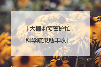 大棚葡萄管护忙，科学疏果助丰收