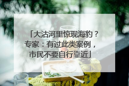 大沽河里惊现海豹？专家：有过此类案例，市民不要自行靠近