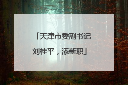 天津市委副书记刘桂平，添新职
