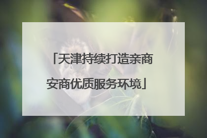 天津持续打造亲商安商优质服务环境
