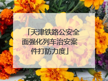 天津铁路公安全面强化列车治安案件打防力度