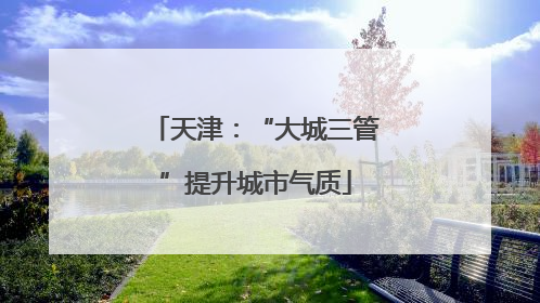天津：“大城三管”提升城市气质