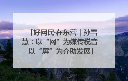 好网民·在东营｜孙雪慧：以“网”为媒传税音 以“屏”为介助发展