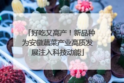 好吃又高产！新品种为安徽蔬菜产业高质发展注入科技动能