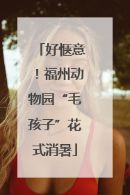 好惬意！福州动物园“毛孩子”花式消暑