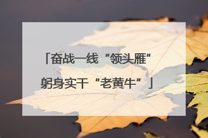 奋战一线“领头雁” 躬身实干“老黄牛”