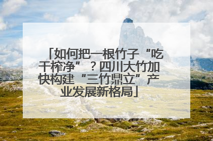 如何把一根竹子“吃干榨净”？四川大竹加快构建“三竹鼎立”产业发展新格局