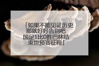 如果不能见证历史 那就好好告别吧 国足1比0胜巴林结束世预赛征程