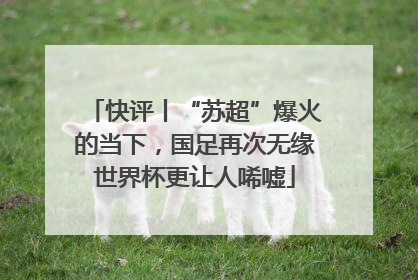 快评丨“苏超”爆火的当下，国足再次无缘世界杯更让人唏嘘
