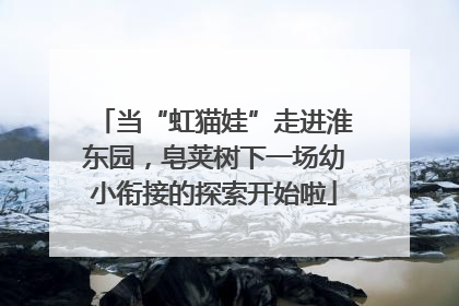 当“虹猫娃”走进淮东园，皂荚树下一场幼小衔接的探索开始啦