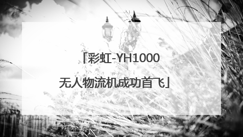 彩虹-YH1000无人物流机成功首飞