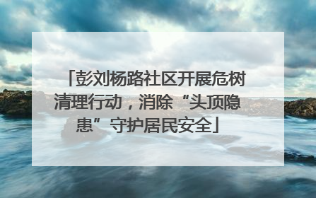 彭刘杨路社区开展危树清理行动，消除“头顶隐患”守护居民安全