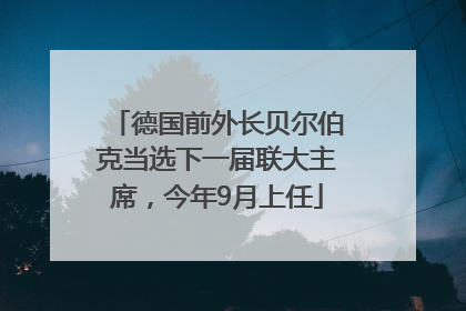德国前外长贝尔伯克当选下一届联大主席，今年9月上任