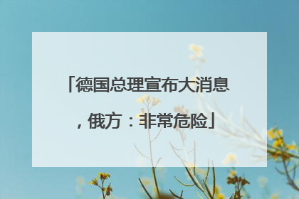 德国总理宣布大消息，俄方：非常危险