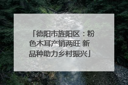 德阳市旌阳区：粉色木耳产销两旺 新品种助力乡村振兴