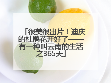 很美很出片！迪庆的杜鹃花开好了——有一种叫云南的生活之365天