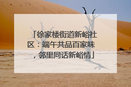 徐家楼街道新峪社区：端午共品百家味，邻里同话新峪情