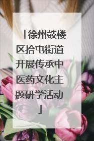 徐州鼓楼区拾屯街道开展传承中医药文化主题研学活动