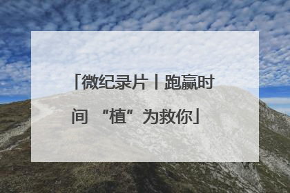 微纪录片丨跑赢时间 “植”为救你