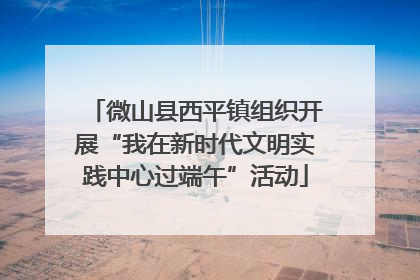 微山县西平镇组织开展“我在新时代文明实践中心过端午”活动