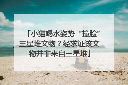 小猫喝水姿势“撞脸”三星堆文物？经求证该文物并非来自三星堆