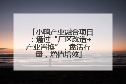 小鸭产业融合项目：通过“厂区改造+产业置换”，盘活存量，增值增效