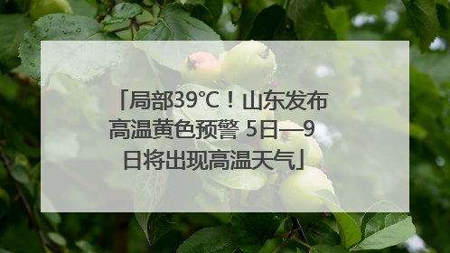 局部39℃！山东发布高温黄色预警 5日—9日将出现高温天气