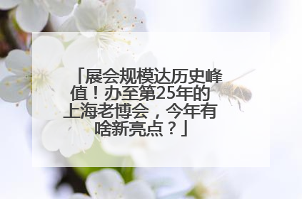 展会规模达历史峰值！办至第25年的上海老博会，今年有啥新亮点？