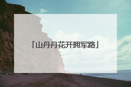 山丹丹花开拥军路