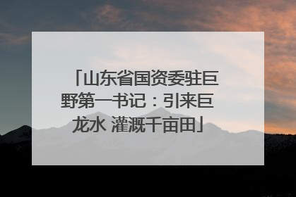 山东省国资委驻巨野第一书记：引来巨龙水 灌溉千亩田