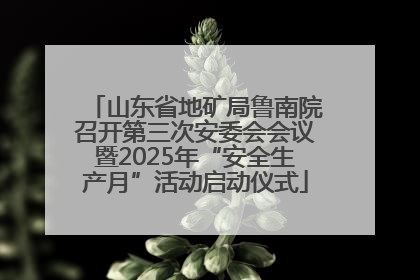 山东省地矿局鲁南院召开第三次安委会会议暨2025年“安全生产月”活动启动仪式