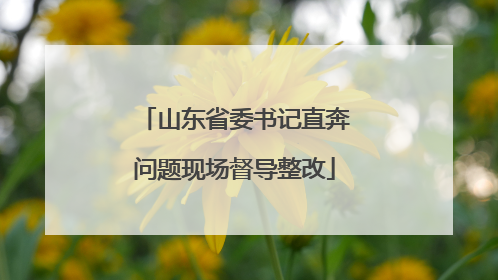 山东省委书记直奔问题现场督导整改