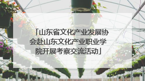 山东省文化产业发展协会赴山东文化产业职业学院开展考察交流活动