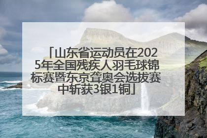 山东省运动员在2025年全国残疾人羽毛球锦标赛暨东京聋奥会选拔赛中斩获3银1铜
