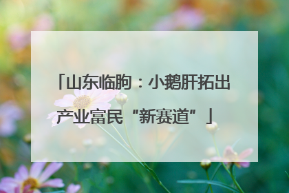 山东临朐：小鹅肝拓出产业富民“新赛道”