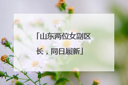 山东两位女副区长，同日履新
