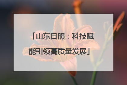 山东日照：科技赋能引领高质量发展