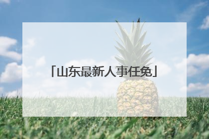 山东最新人事任免