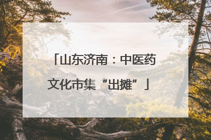 山东济南：中医药文化市集“出摊”