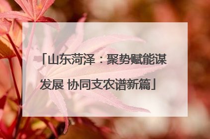山东菏泽：聚势赋能谋发展 协同支农谱新篇