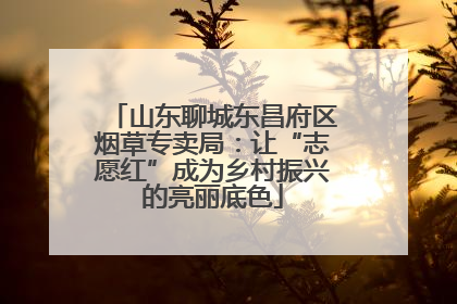 山东聊城东昌府区烟草专卖局：让“志愿红”成为乡村振兴的亮丽底色