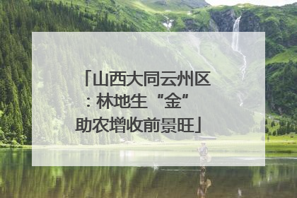 山西大同云州区：林地生“金” 助农增收前景旺