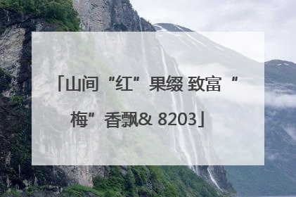 山间“红”果缀 致富“梅”香飘& 8203