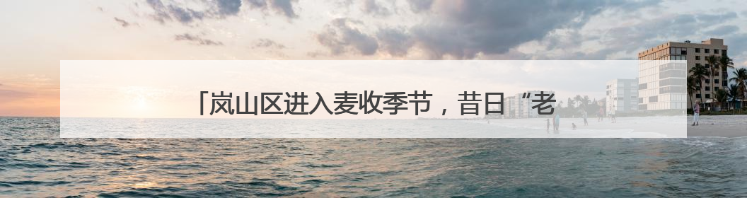 岚山区进入麦收季节，昔日“老大难”，变成今朝“抢手货”！