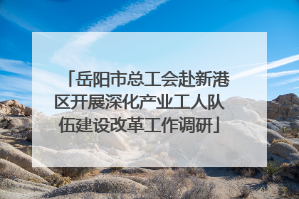 岳阳市总工会赴新港区开展深化产业工人队伍建设改革工作调研