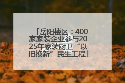 岳阳楼区：400家家装企业参与2025年家装厨卫“以旧换新”民生工程